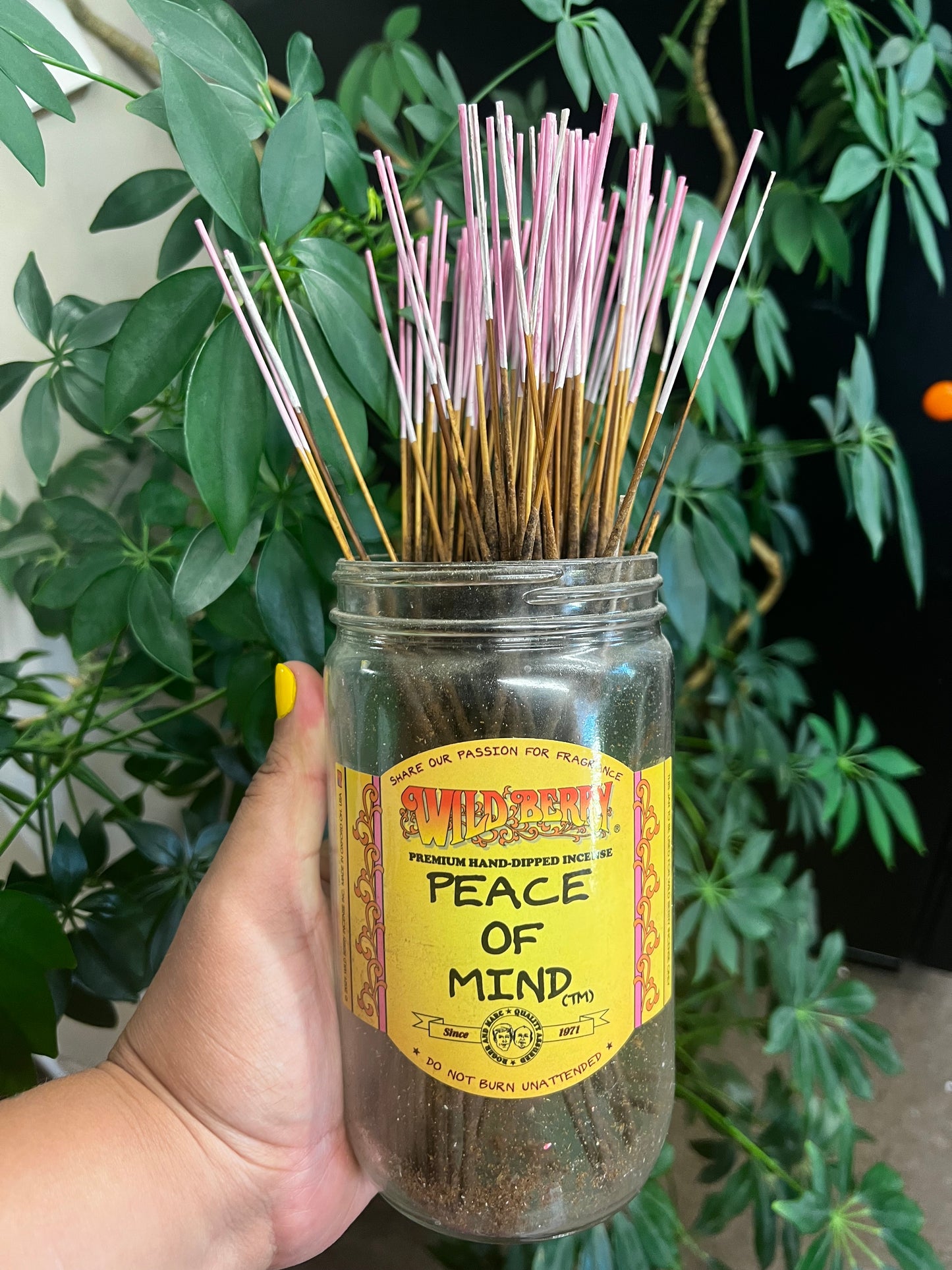 Wild Berry Incense Sticks - Peace Of Mind 100 pcs